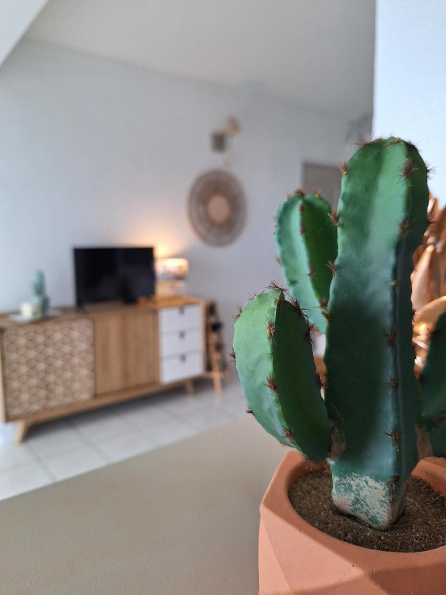 Le Cocon De Madana Apartment Saint-Joseph Luaran gambar