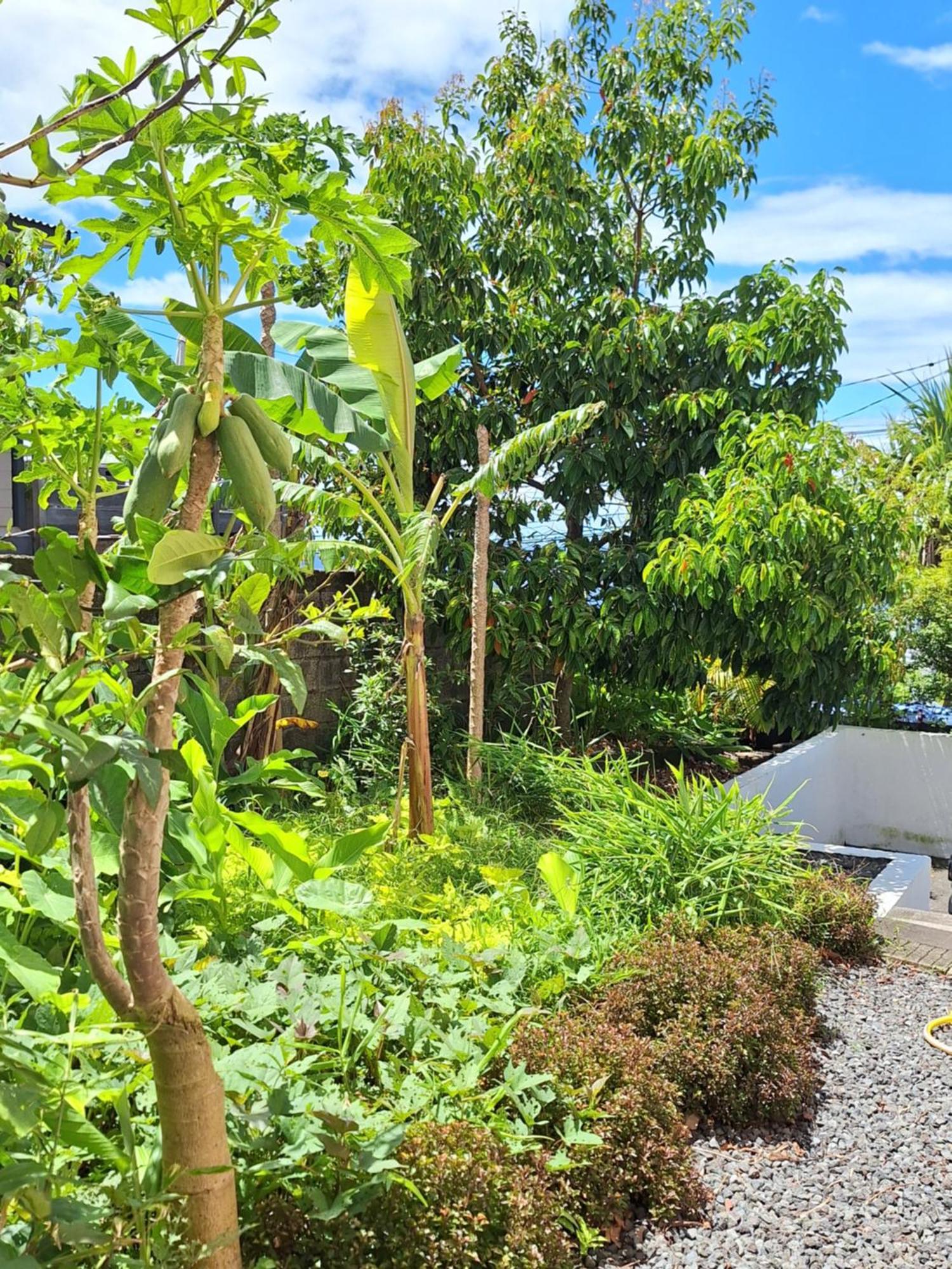 Le Cocon De Madana Apartment Saint-Joseph Luaran gambar