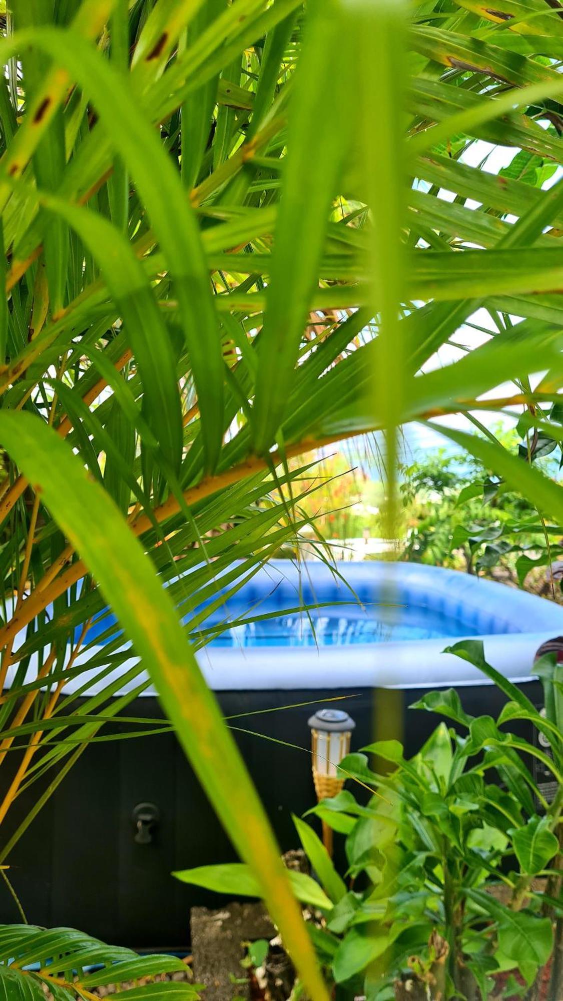 Le Cocon De Madana Apartment Saint-Joseph Luaran gambar
